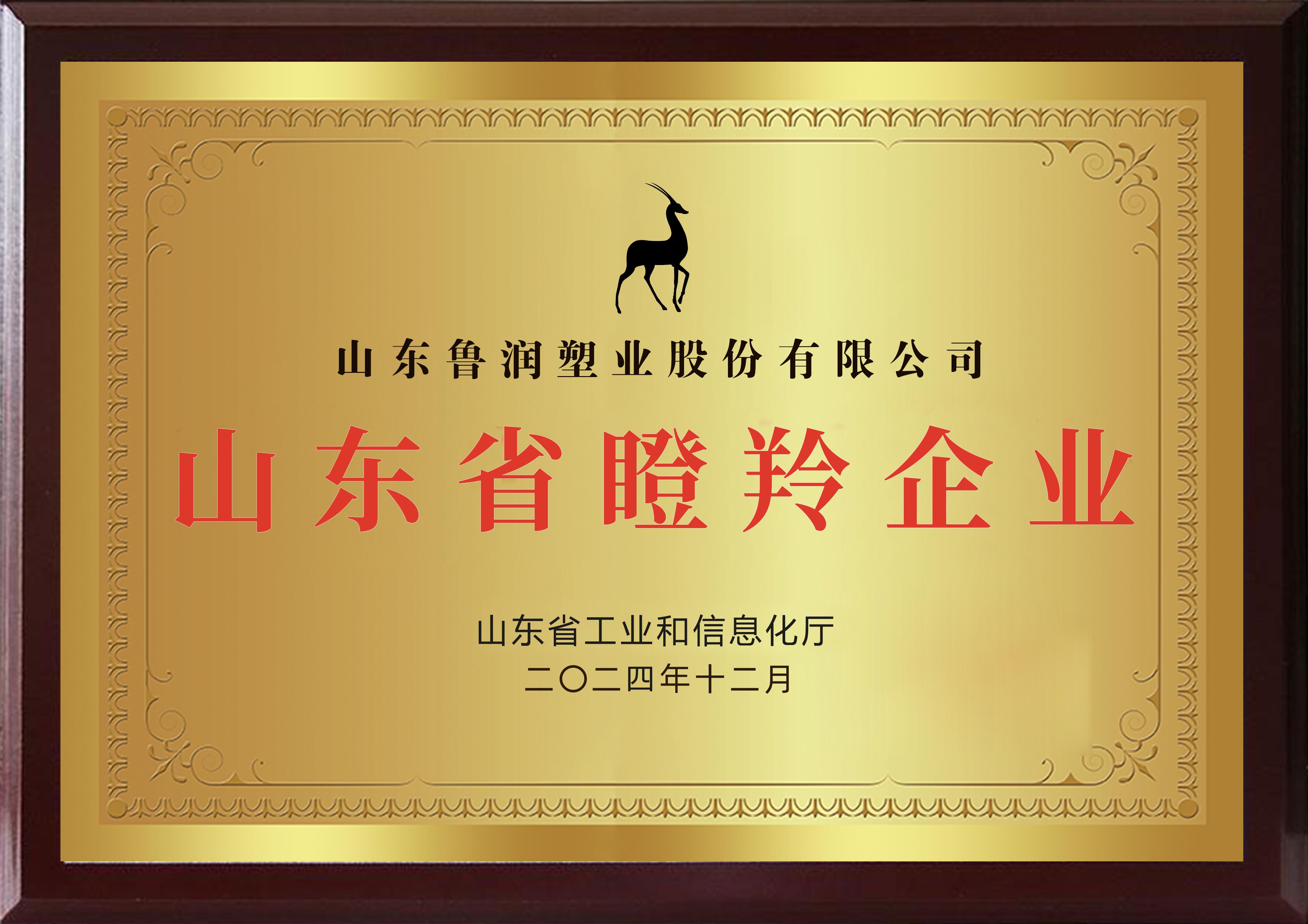 鲁润塑业荣膺2024年度山东省“瞪羚企业”称号